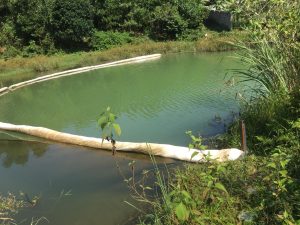 Phao quây thấm dầu N-Fiber kết hợp 2 chức năng chính quây chặn và thấm hút