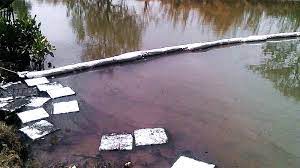 Oil Absorbent Boom forming a barrier against oil spill in a river