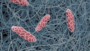 Magnified view of N-Fiber’s nano “spiderweb” structure