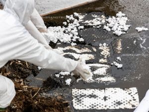 Workers using oil absorbent cotton to manage river oil spill