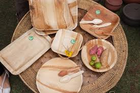 The N-Leaf collection by Bignanotech