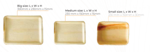 Rectangular areca leaf plates