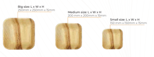 Square areca leaf plates
