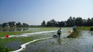 Xơ bông thấm dầu N-Fiber thấm váng dầu nổi trên mặt nước