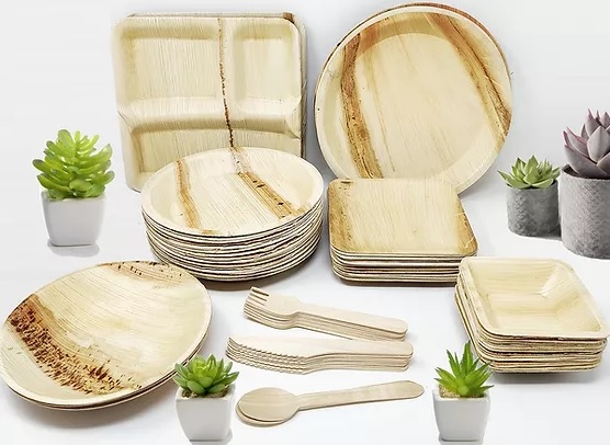 biodegradable-tableware-5302